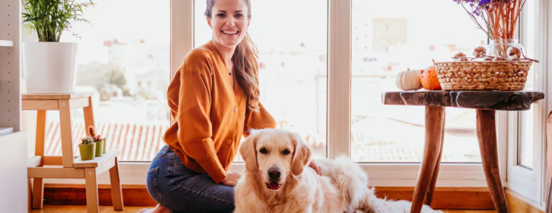 Cómo cuidar de tu perro anciano – Consejos fundamentales